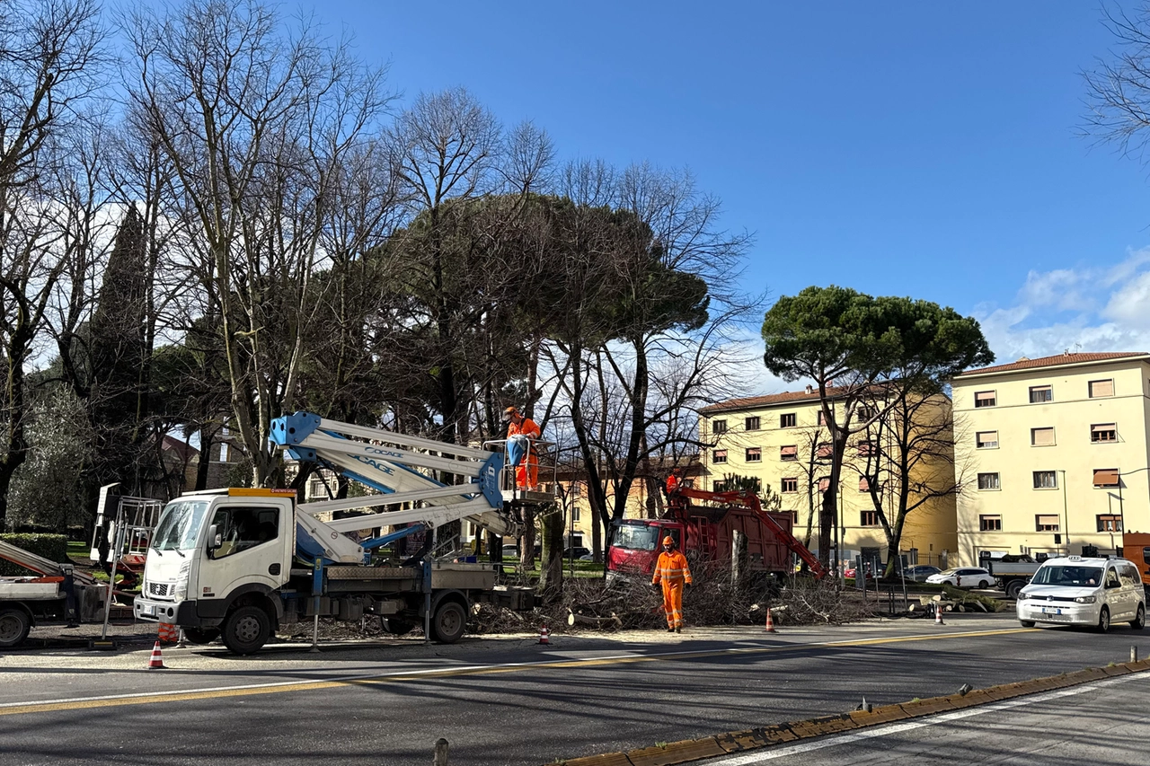 immagine di sfondo 1