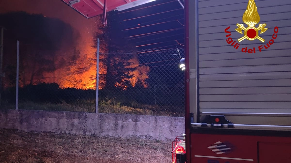 Un'immagine dell'incendio scoppiato nel bosco intorno alla centrale idroelettrica di Barchi Un'immagine dell'incendio scoppiato nel bosco intorno alla centrale idroelettrica di Barchi