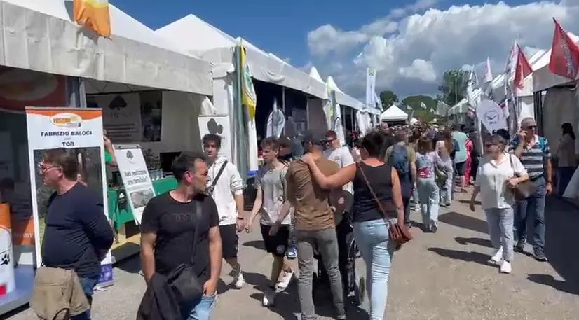 Grosseto, la maxi fiera del Madonnino: in migliaia per l’expo agricola, tra olio e tartufo