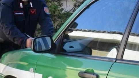 Nei guai il titolare di una ditta individuale della zona operante nel settore del commercio dei legnami (foto d’archivio) Nei guai il titolare di una ditta individuale della zona operante nel settore del commercio dei legnami (foto d’archivio)