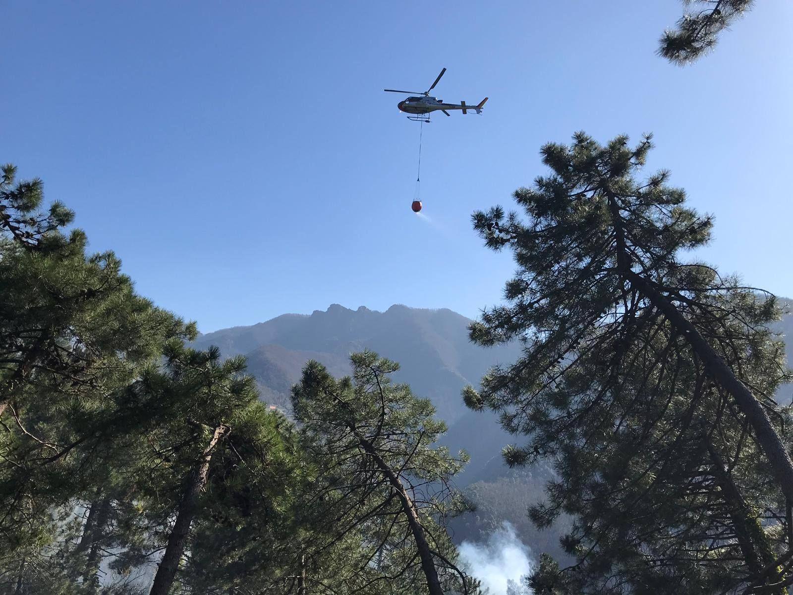 rischio incendi in toscana l8217anticiclone fa scattare in anticipo il divieto di abbruciamenti