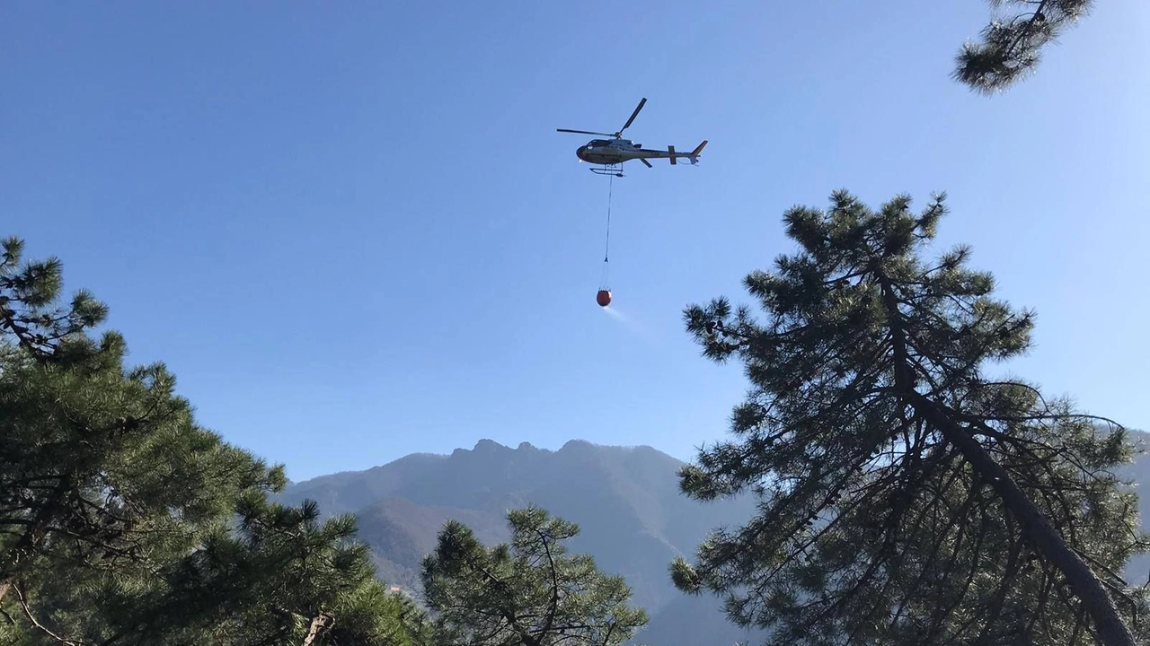 Incendi, in Toscana scatta il divieto anticipato di abbruciamenti Incendi, in Toscana scatta il divieto anticipato di abbruciamenti