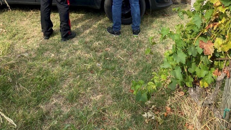 I carabinieri hanno aiutato l’Ispettorato del lavoro per le fotosegnalazioni (foto archivio) I carabinieri hanno aiutato l’Ispettorato del lavoro per le fotosegnalazioni (foto archivio)