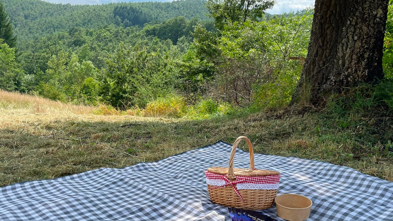 picnic