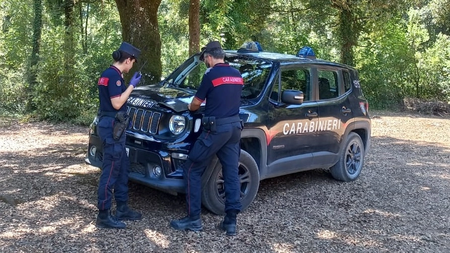 Carabinieri forestali Carabinieri forestali