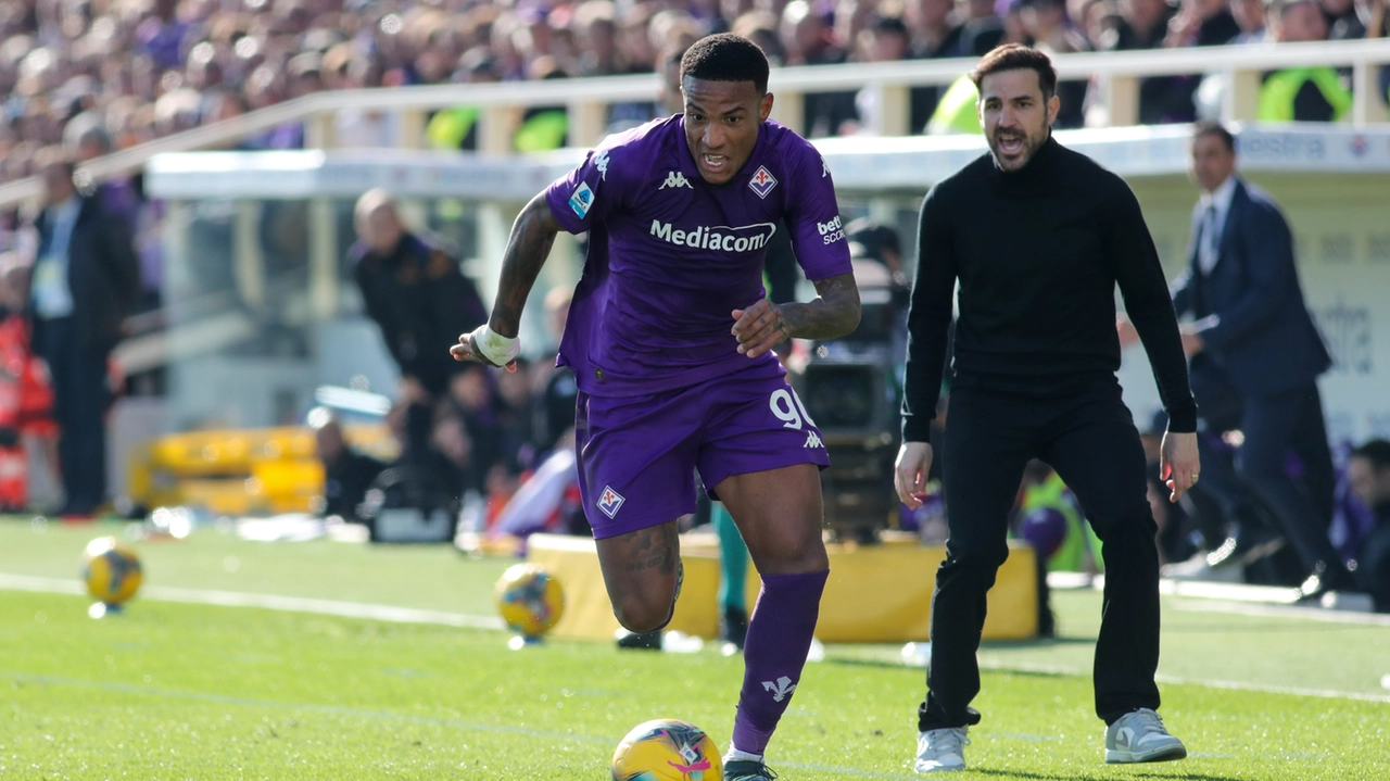 Folorunsho in azione (Germogli)