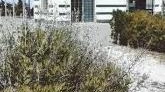 Il Consorzio di Levante ha finanziato il presidio della Croce Verde in Darsena Il Consorzio di Levante ha finanziato il presidio della Croce Verde in Darsena