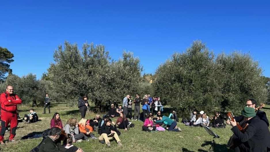 L’olivicoltura diventa anche promozione turistica L’olivicoltura diventa anche promozione turistica