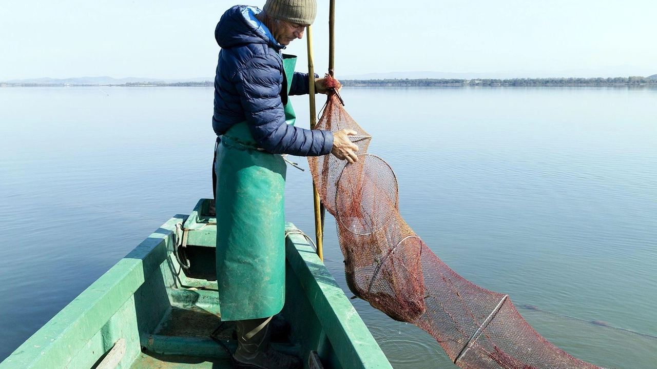 La speranza è di poter tornare ad una pesca senza problemi (Foto Luciano Salvatore) La speranza è di poter tornare ad una pesca senza problemi (Foto Luciano Salvatore)