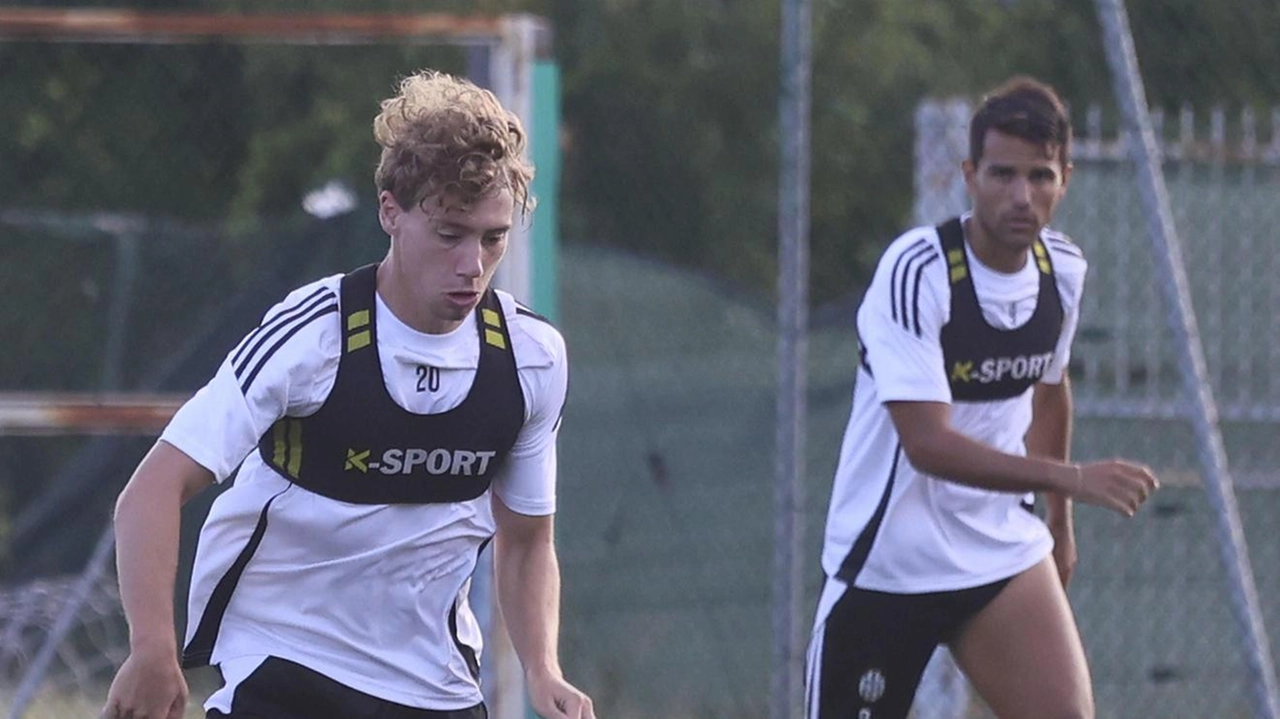 Sono giorni di lavoro intenso per il Siena che si sta preparando all’inizio della nuova stagione sportiva. Ad aiutare la...
