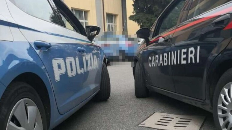 Forze dell'ordine (Foto archivio Ansa)
