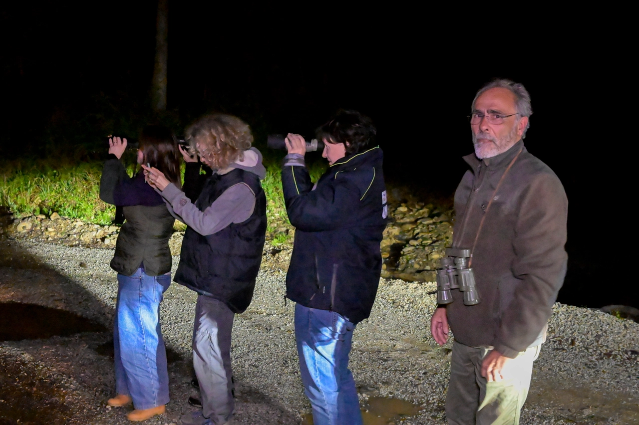 immagine di sfondo 2