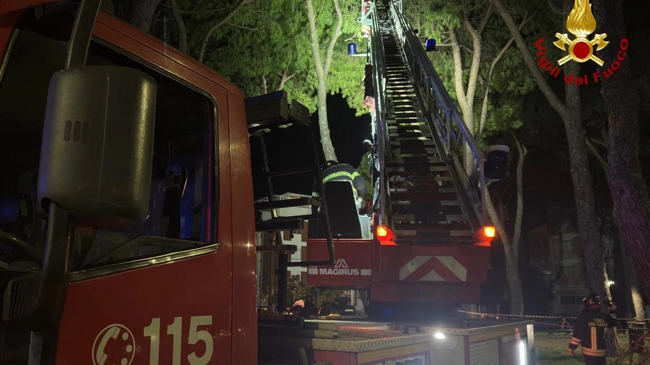 Sono stati numerosi gli interventi dei Vigili del fuoco in conseguenza degli alberi e rami pericolanti e dei tetti danneggiati.... Sono stati numerosi gli interventi dei Vigili del fuoco in conseguenza degli alberi e rami pericolanti e dei tetti danneggiati....
