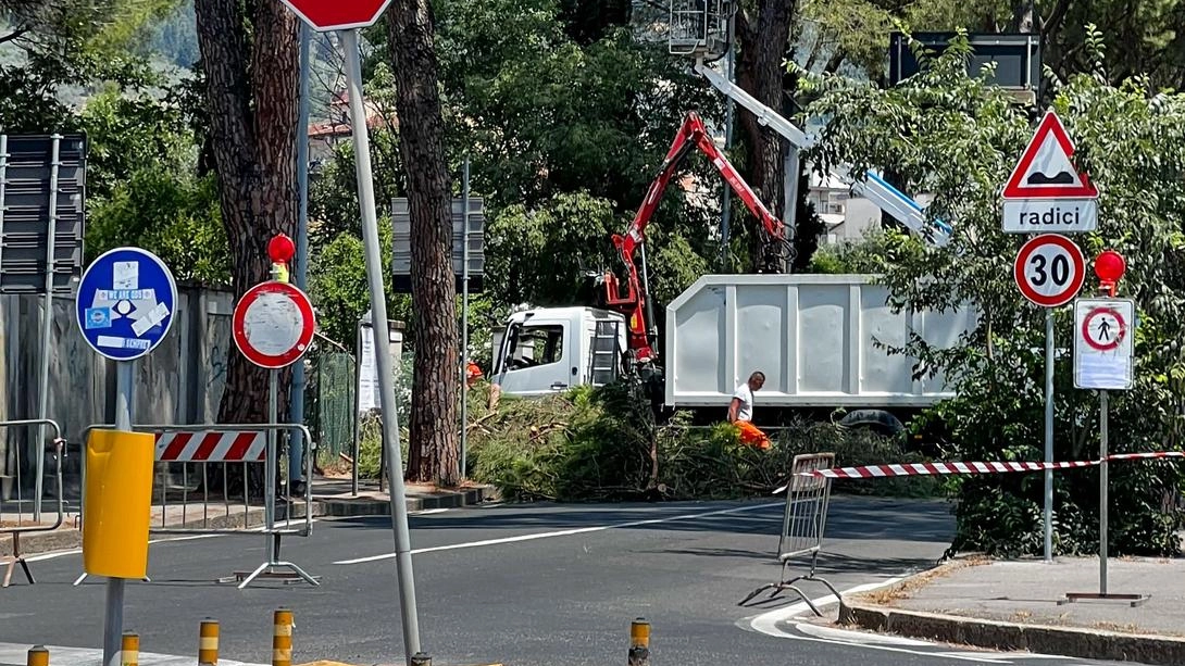 Prosegue su tutto il territorio la manutenzione ordinaria del verde, con i tagli programmati dall’amministrazione comunale che stanno interessando prioritariamente parchi e scuole: lavori anche su segnalazioni dei cittadini