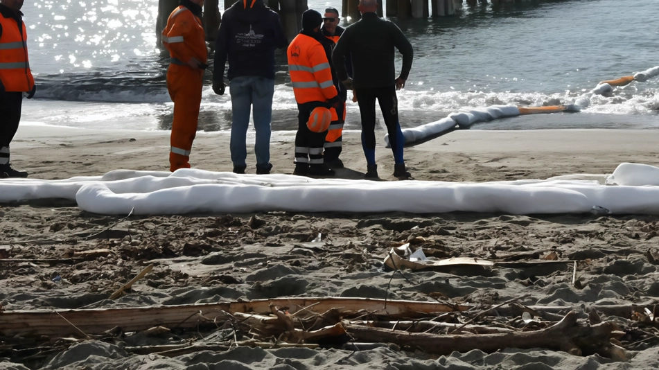 C’era anche il Comitato Ugo Pisa tra le associazioni ambientaliste che hanno partecipato all’assemblea pubblica a Villa Bertelli di... C’era anche il Comitato Ugo Pisa tra le associazioni ambientaliste che hanno partecipato all’assemblea pubblica a Villa Bertelli di...