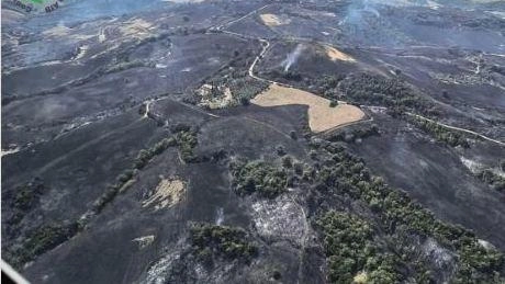 La vasta area bruciata dal rogo di ferragosto, ripresa ieri dall’elicottero