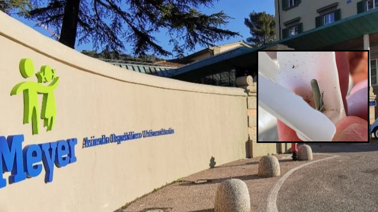 L'ospedale pediatrico Meyer e, nel riquadro, l'ago con il quale si sono punti i due bambini L'ospedale pediatrico Meyer e, nel riquadro, l'ago con il quale si sono punti i due bambini