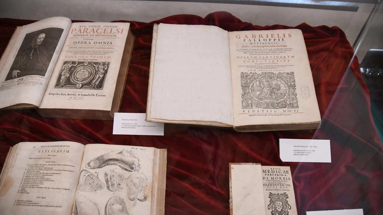 Alla Biblioteca Laurenziana una speciale mostra sulla formazione medico-chirurgica a Firenze. Per i cento anni dell'Università e dell'Ospedale di Careggi