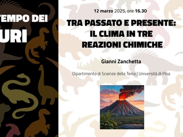 immagine articolo