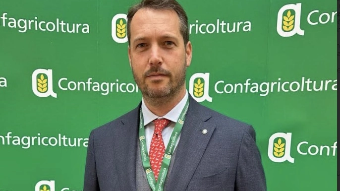 Bartolini Baldelli Bartolini Baldelli