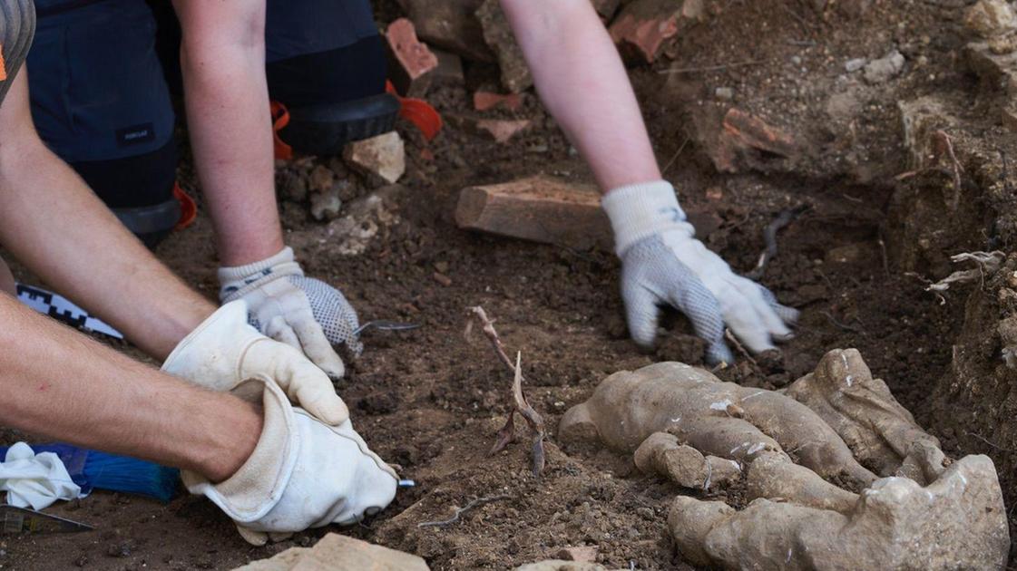 Ercole e il Glirarium tornano a casa. Al Museo Civico i reperti restaurati Ercole e il Glirarium tornano a casa. Al Museo Civico i reperti restaurati