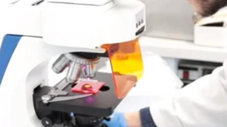 Pannelli solari realizzati non con silicio o vetro, ma con plastica riciclata: è l’idea alla base del nuovo progetto dell’Università... Pannelli solari realizzati non con silicio o vetro, ma con plastica riciclata: è l’idea alla base del nuovo progetto dell’Università...