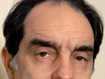 immagine articolo