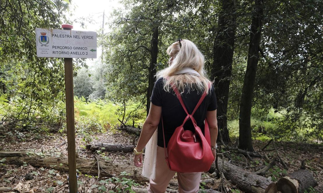 Sos Palestra nel Verde: "Si può fare qualcosa per rimetterla a posto. Ma servono interventi" Sos Palestra nel Verde: "Si può fare qualcosa per rimetterla a posto. Ma servono interventi"
