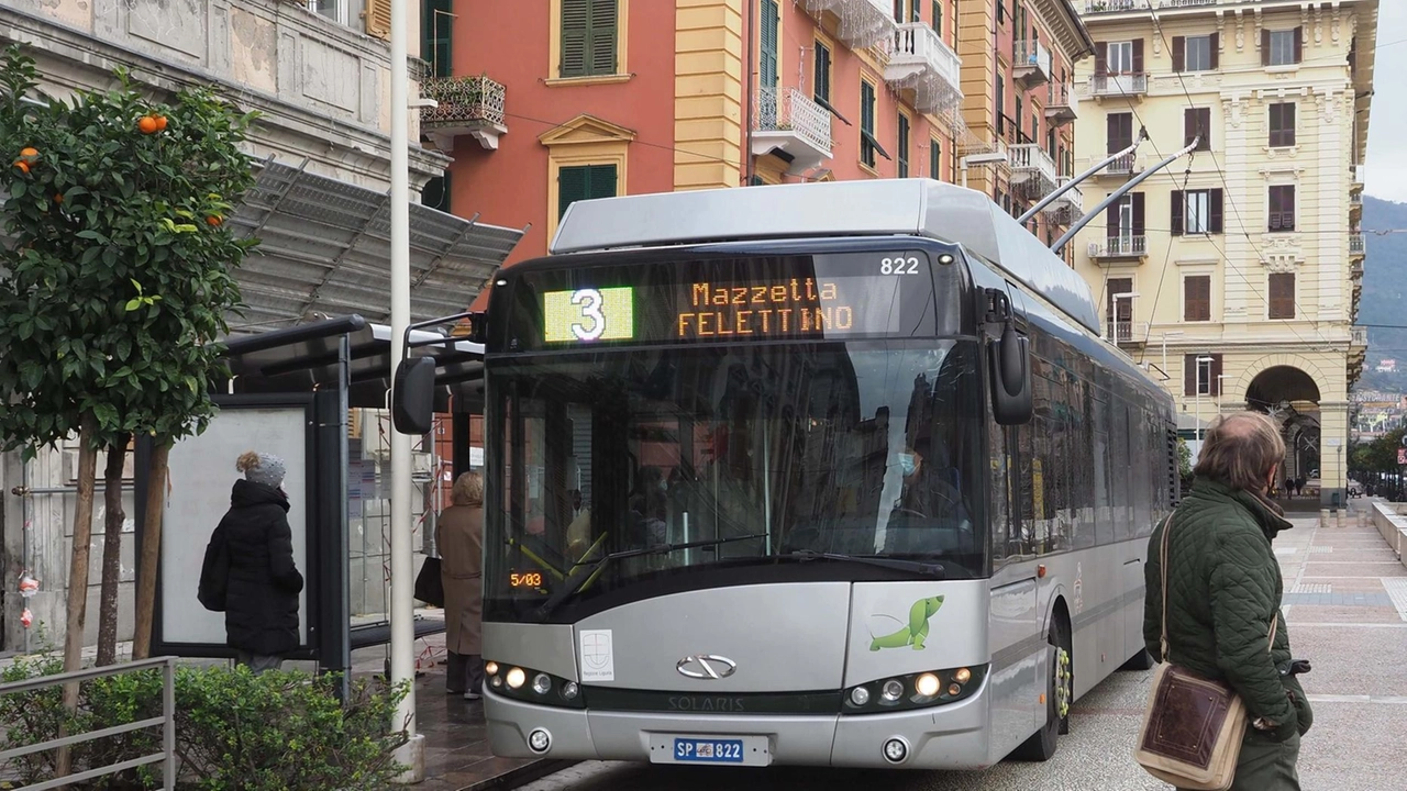 Un autobus di Atc: le segreterie provinciali di Filt Cgil e Cobas puntano il dito sulla situazione del parco-mezzi e l’organizzazione dei trasporti (foto d’archivio) Un autobus di Atc: le segreterie provinciali di Filt Cgil e Cobas puntano il dito sulla situazione del parco-mezzi e l’organizzazione dei trasporti (foto d’archivio)