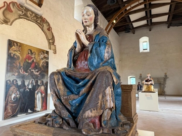 immagine articolo