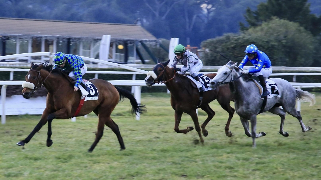 Lo scatto di Nire che va a vincere il premio “Hippoweb.it” Lo scatto di Nire che va a vincere il premio “Hippoweb.it”