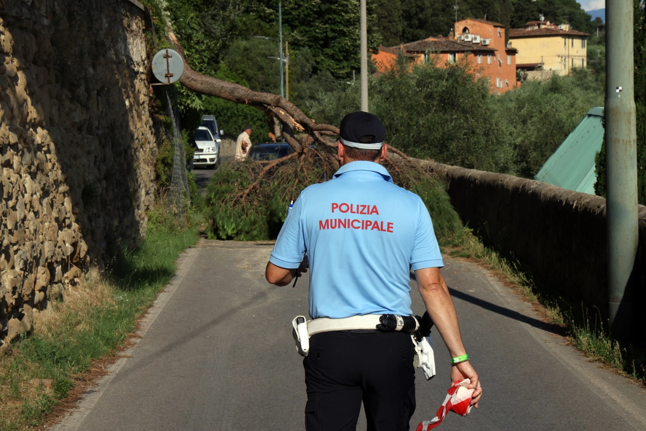 immagine di sfondo 2