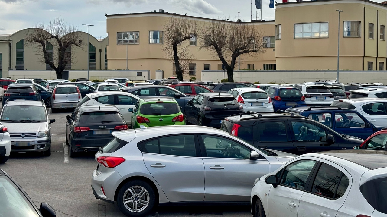 La lettera di un lettore che racconta la sua odissea per trovare un posto auto “idoneo“ dove poter parcheggiare sul viale Piaggio La lettera di un lettore che racconta la sua odissea per trovare un posto auto “idoneo“ dove poter parcheggiare sul viale Piaggio