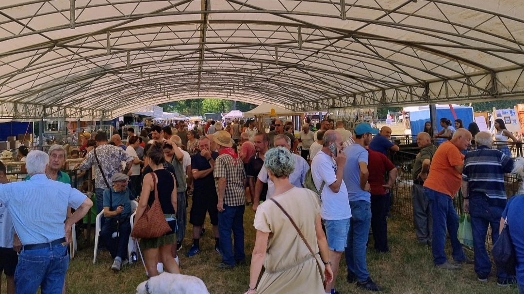 Fiera Calda a Vicchio Fiera Calda a Vicchio