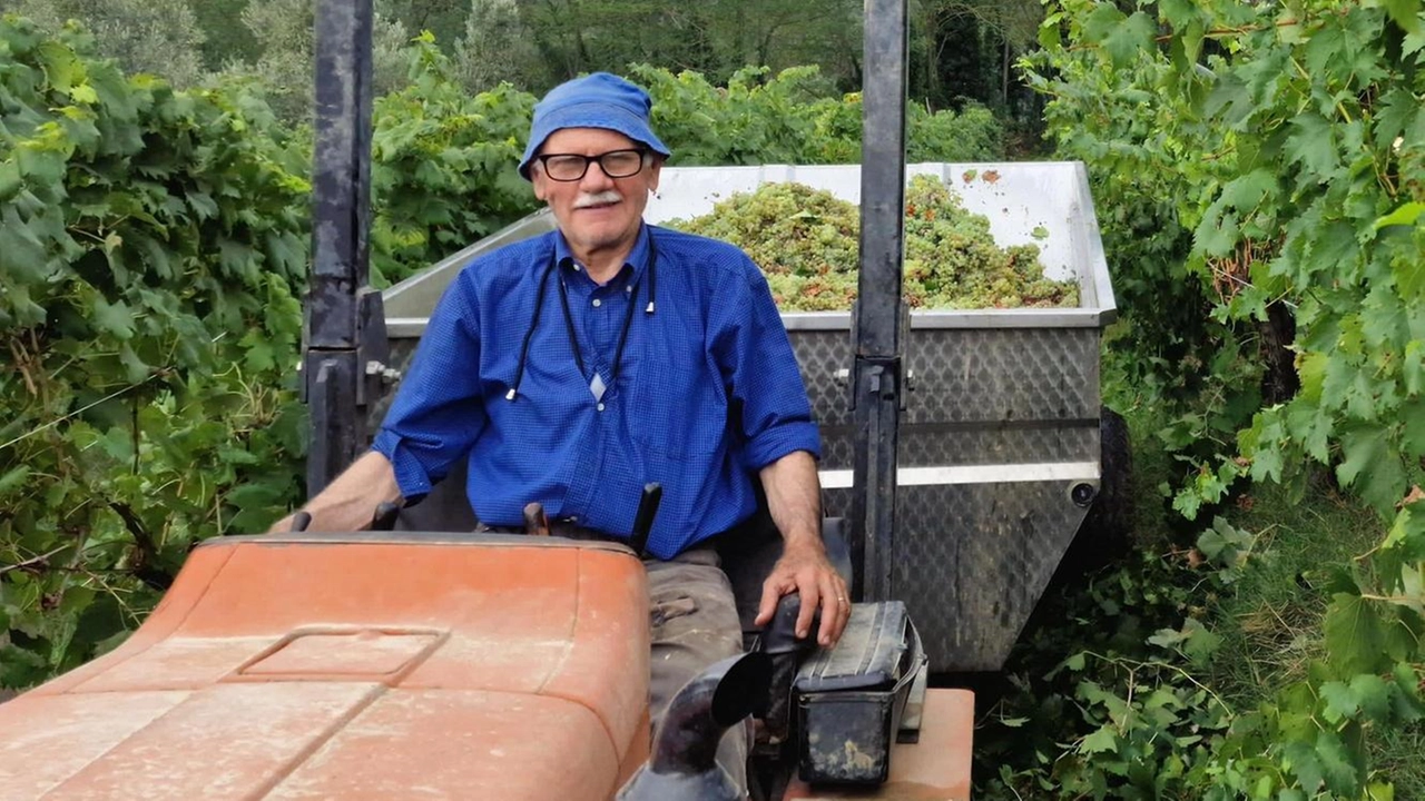 L’imprenditore Ritano Baragli sul trattore nelle sue vigne L’imprenditore Ritano Baragli sul trattore nelle sue vigne
