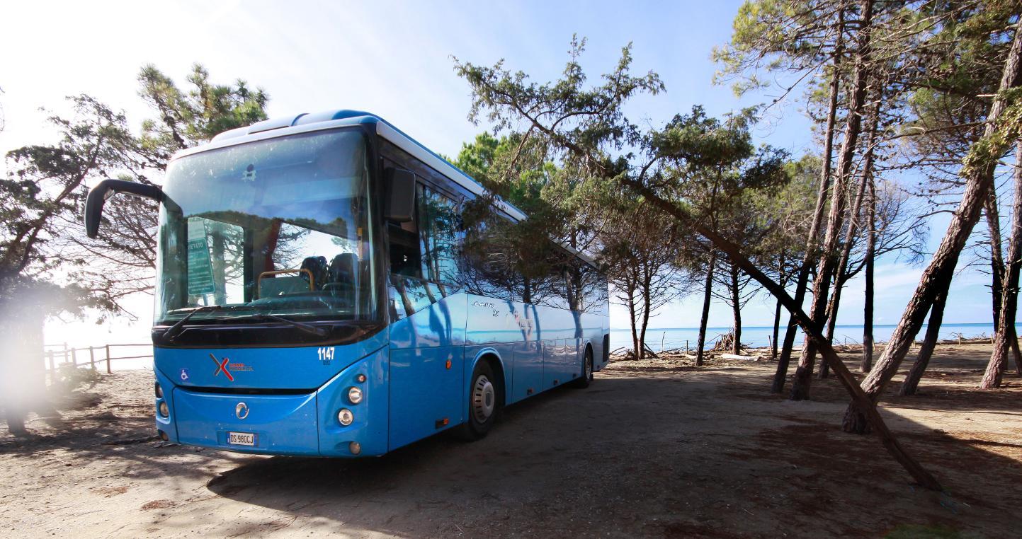 Fuga al mare in giornata, i bus verso le coste di Tirreno e Adriatico Fuga al mare in giornata, i bus verso le coste di Tirreno e Adriatico
