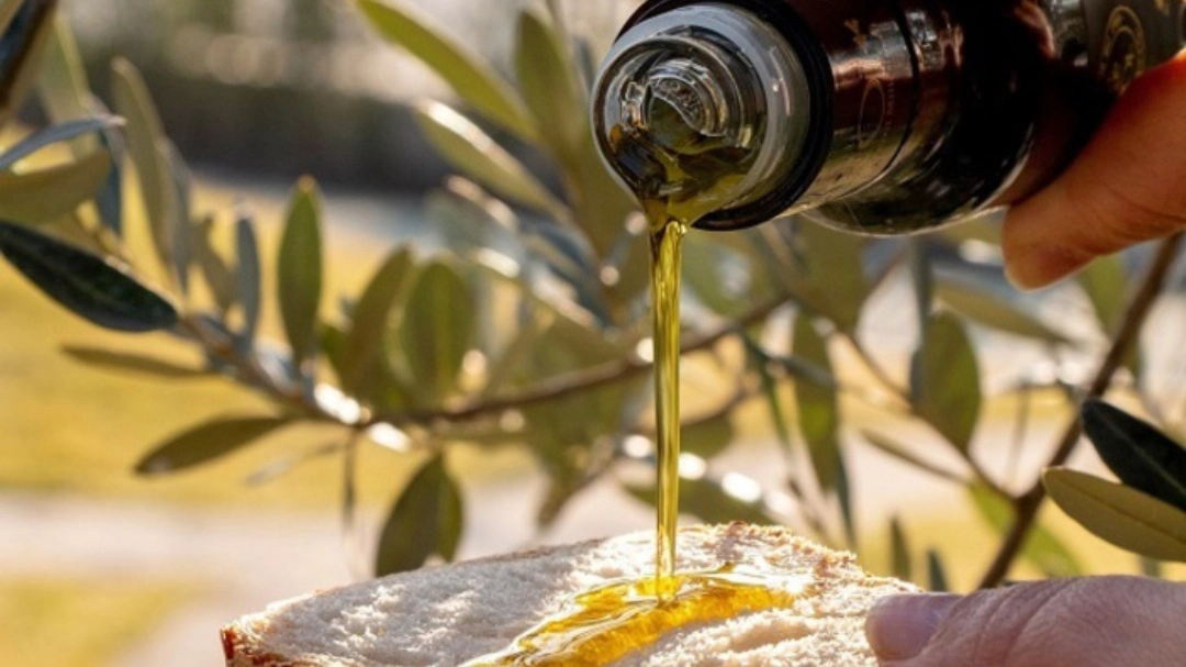 Olio (foto Ansa) Olio (foto Ansa)