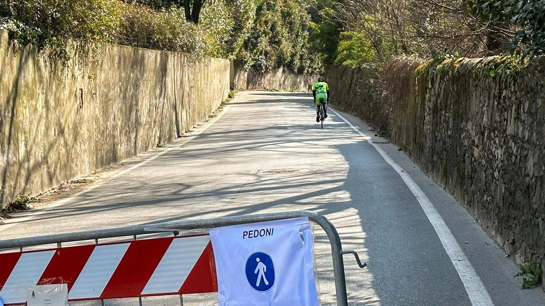 Il ripristino a carico dei condomini e l’appello a Carovani: "Problemi idrici e troppo traffico tra le cause" Il ripristino a carico dei condomini e l’appello a Carovani: "Problemi idrici e troppo traffico tra le cause"