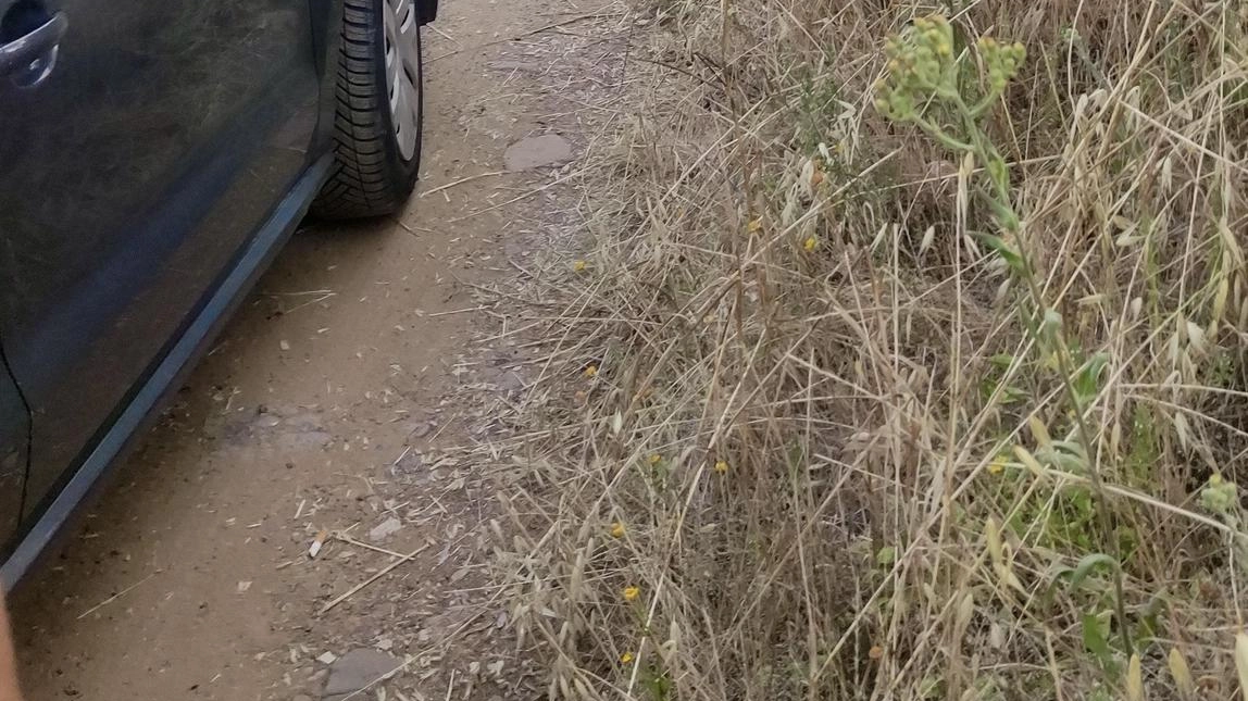 L’edificio abbandonato si trova nell’ampia zona a verde in via Riaffrico. Sul posto il procutarore capo Tommaso Coletta e il pm Chiara Contesini. I residenti attoniti, ma qualcuno dice di aver visto l’omicida nell’area.