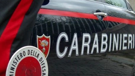 L'intervento dei carabinieri (Foto Ansa) L'intervento dei carabinieri (Foto Ansa)