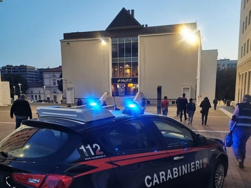 immagine articolo