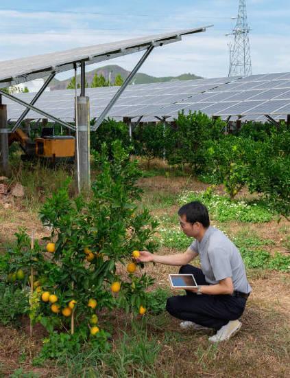 https://www.lanazione.it/image-service/view/acePublic/alias/contentid/YjI4Y2ZhM2MtNDQ4My00/0/rinnovabili-braccio-di-ferro-eolico-e-agrivoltaico-rilanciati-tre-progetti.jpeg?f=1.90:1&h=630