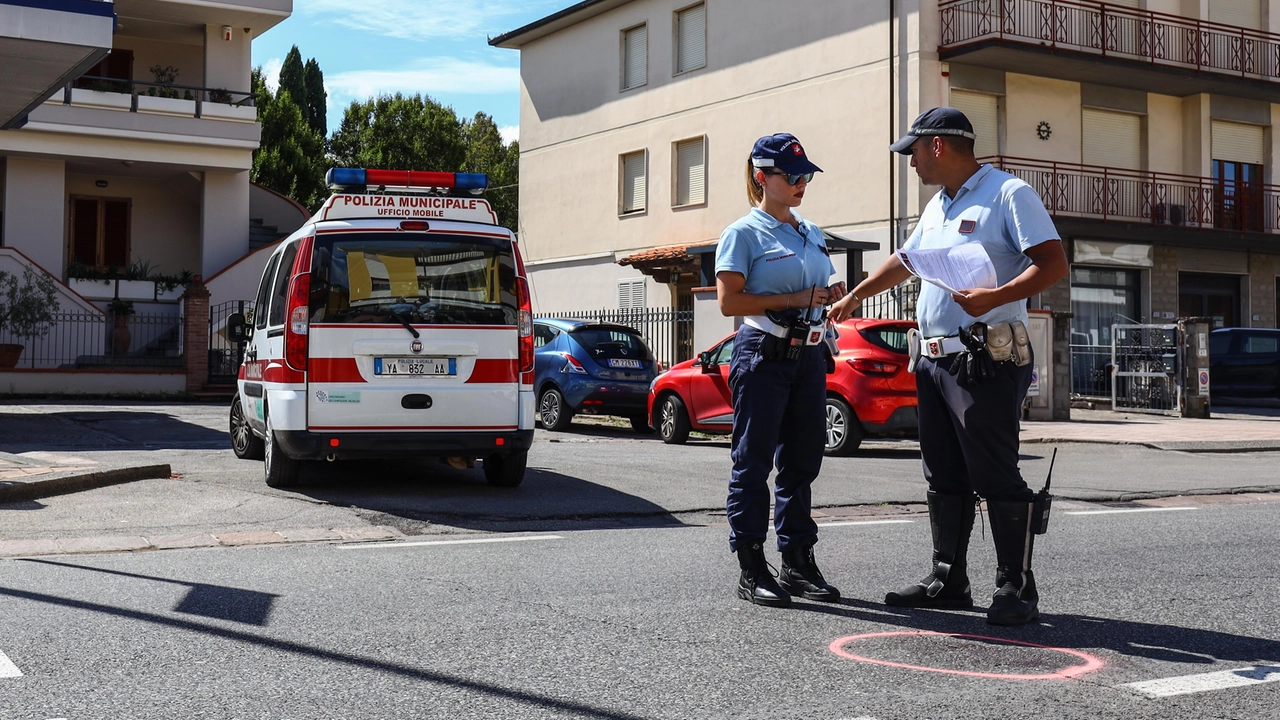 Dopo la fuga del gregge sono partite le indagini della polizia Municipale Dopo la fuga del gregge sono partite le indagini della polizia Municipale