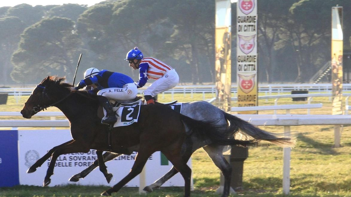 Nella foto: The Last Rebel vince il premio “Francesco Lupinacci” A San Rossore si torna a correre mercoledì 1 gennaio 2025 Nella foto: The Last Rebel vince il premio “Francesco Lupinacci” A San Rossore si torna a correre mercoledì 1 gennaio 2025