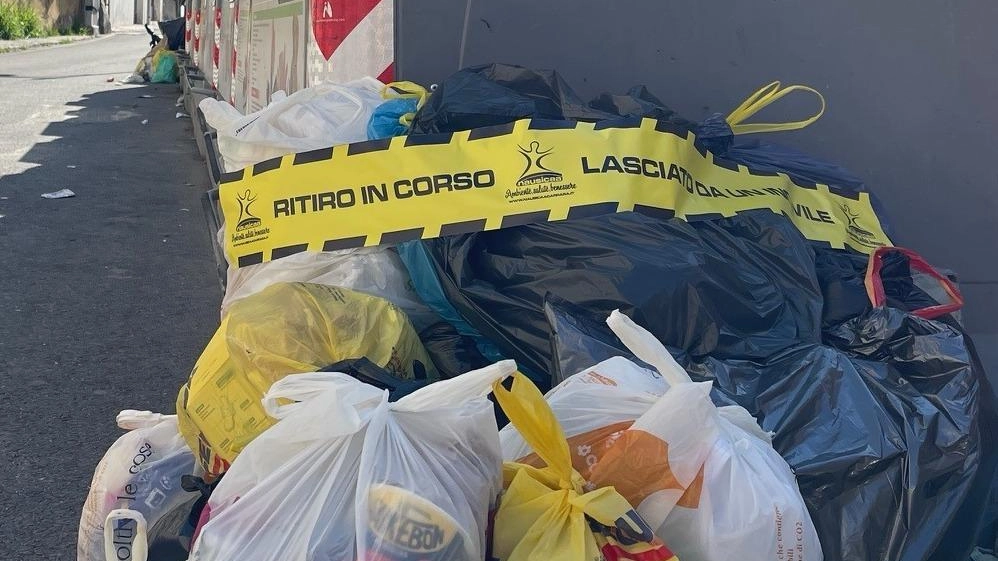 I sacchi abbandonati vicino ai bidoni I sacchi abbandonati vicino ai bidoni