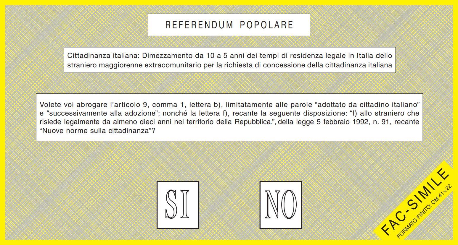 https://www.lanazione.it/image-service/view/acePublic/alias/contentid/YjJhMTNlZjQtYzRjNy00/0/image.jpeg