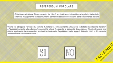 Quei numeri del referendum sulla cittadinanza diversi da quelli degli altri 4 quesiti