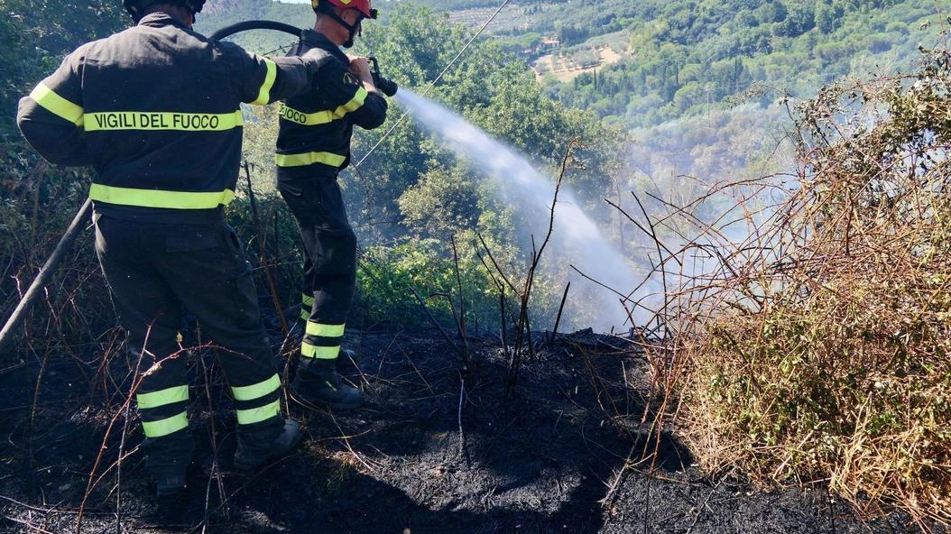 Sarebbero due dodicenni i presunti responsabili di un incendio sviluppatosi il 19 luglio scorso in un terreno incolto a Grosseto,... Sarebbero due dodicenni i presunti responsabili di un incendio sviluppatosi il 19 luglio scorso in un terreno incolto a Grosseto,...