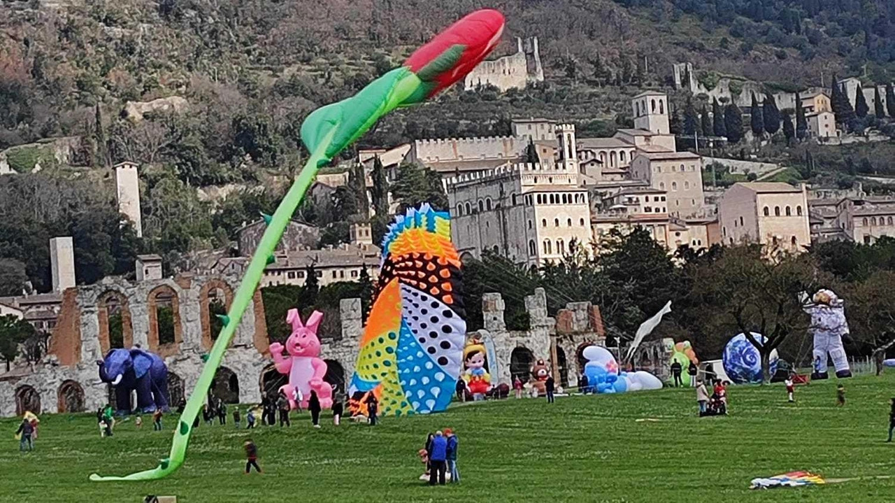 GUBBIO - Alla fine anche l’edizione 2025 di Ventomania è andata in archivio. Nonostante le bizze meteorologiche, domenica gli aquilonisti...