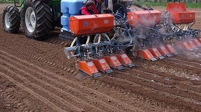 Sansepolcro, tabacco senza chimica. Via alla sperimentazione hi-tech